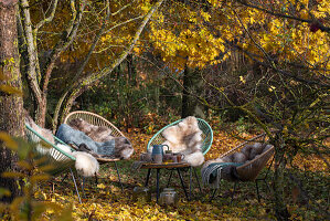 Sitzplatz unter Ahornbaum im herbstlichen Garten