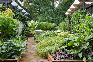 Wooden garden path surrounded by lush planting
