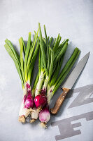 Spring onions and kitchen knife