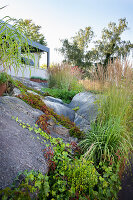 Rocks covered with climbing plants in the garden