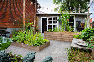 Vegetable garden in wooden raised beds, in the background a small wooden house