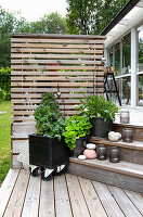 Wooden steps decorated with stones and lanterns on wooden terrace