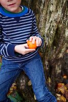 Boy in striped top peeling orange in Autumn woodland, Haslemere, Surrey, England