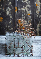 Wire basket with empty glasses and dried leaves in front of rustic wooden wall