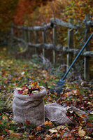 Jutesack mit Herbstlaub und Rechen im Garten