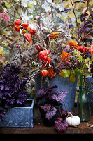 Herbstliche Pflanzenarrangements mit Lampionblumen in Metalltöpfen