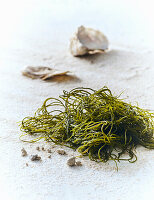 Seaweed