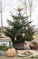 Nordmann fir, decorated with wooden stars