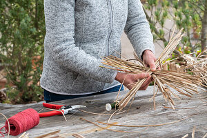 Star from pruning Miscanthus