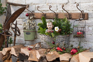 Weihnachtlich dekorierter Korb mit Christrosen (Helleborus) Tannenzweigen (Abies), Hemlocktanne (Tsuga) und Putte