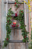 Christmas decorated wooden ladder with garland of 'Blue Princess' holly, fir branches (Abies) and wind light