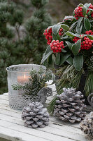 Weihnachtsdekoration mit Skimmie (Skimmia), Windlicht und Zapfen