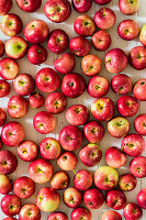 Rote Äpfel (bildfüllend)