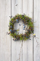Wreath made of moss and sloes (Prunus spinosa)