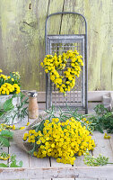 Heart and bouquet of tansy (Tanacetum vulgare) with rubbing lattice