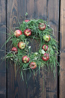 Kranz aus Äpfeln und Gras an Holzwand