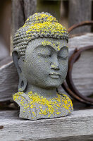 Buddha head with lichen as garden decoration