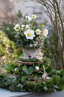 Etagere made of wooden discs with Christmas roses (Helleborus niger) fir branches, ivy (Hedera), snowberry (Symphoricarpos) Christmas decoration