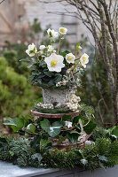 Etagere made of wooden discs with Christmas roses (Helleborus niger) fir branches, ivy (Hedera), snowberry (Symphoricarpos) Christmas decoration