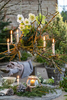 Hanging candleholder with Christmas roses (Helleborus niger), moss, cones and lantern