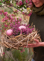 Woman carrying Easter nest of straw with eggs and pink snow heather twigs (Erica carnea)