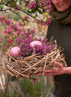 Frau trägt Osternest aus Stroh mit Eiern und rosa Schneeheidenzweige (Erica carnea)