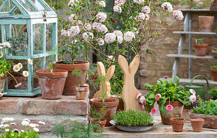 Fennel, Arrowwood (Viburnum carlesii), daisy (Bellis), mini greenhouse with tomato plant, Easter figures