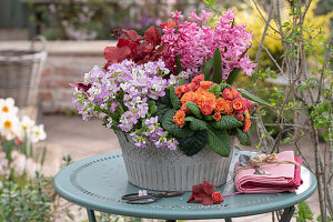 Daisy, primrose (Primula) 'Sweet Apricot', coral bells (Heuchera) 'Beautiful Dancer', hyacinth (Hyacinthus) in pot