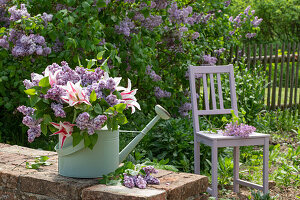 Blumenstrauß aus Flieder und Tulpe 'Marilyn' in der Gießkanne