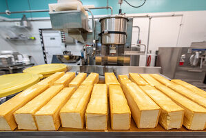 Blocks of freshly made cheese with machinery behind it at dairy processing facility