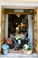 Bicycle and hydrangeas on terrace