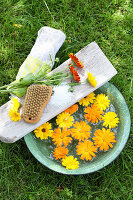 Foot bath with calendula for nail bed inflammation