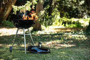 Barbecue grill in garden