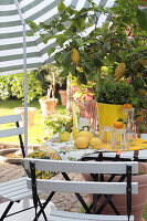 A summery seating area under a parasol and a lemon tree