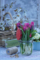 Kleiner Tulpenstrauss als Tischdekoration (Tulipa)