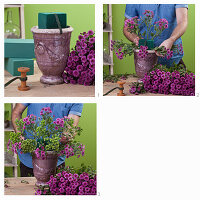 Man tying chrysanthemums (Chrysanthemum), perennial phlox (Phlox Paniculata) 'Green Lion' into bouquet