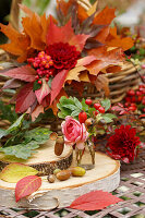 Herbststrauß aus Dahlien (Dahlia) und Pfaffenhütchen (Euonymus europaeus)