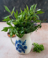 Fresh herbs in a jug
