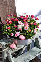 Easter nest of bellis in a metal pot