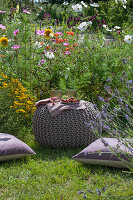 Seating cushions in front of flower beds with Moroccan toadflax (Linaria maroccana), lavender, phlox, dyer's chamomile (Anthemis tinctoria) and cosmea