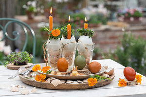 Kerzen mit Kresse in Eierschalen im Glas, Osterdekoration mit Garten-Stiefmütterchen (Viola wittrockiana), Zwiebeln und Eier auf Tisch