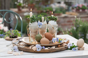Kerzen mit Kresse in Eierschalen im Glas, Osterdekoration mit Hornveilchen (Viola Cornuta), Zwiebeln und Eier auf Tisch