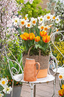 Korb mit eingepflanzten Narzissen (Narcissus), Tulpen (Tulipa), Wasserkrug auf Gartenstuhl