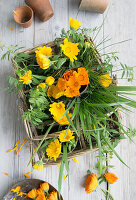 Marigolds (calendula) with grasses in a basket