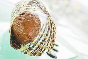 Chocolate ice cream in a chocolate nest (Close Up)