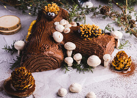 Buche de Noel (French yule log Christmas cake) with oranges