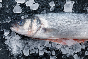 Fresh fish on ice