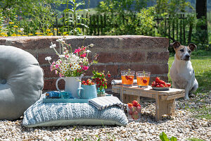 Bouquet and jug with strawberries on cushion in garden next to bench with drinks