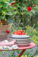 Sommerfest im Garten: Erdbeerdessert und Erdbeerpflanze im Pflanzkorb auf Gartentisch