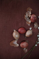 Easter eggs coloured with onion skins